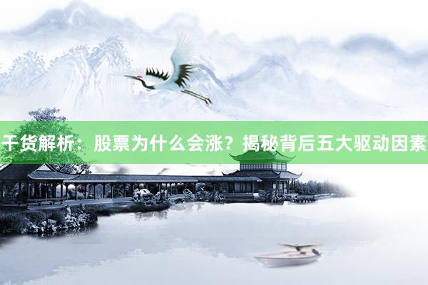 干货解析：股票为什么会涨？揭秘背后五大驱动因素