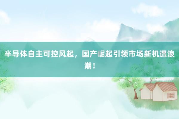 半导体自主可控风起，国产崛起引领市场新机遇浪潮！