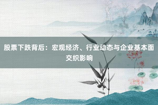 股票下跌背后：宏观经济、行业动态与企业基本面交织影响