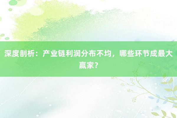 深度剖析：产业链利润分布不均，哪些环节成最大赢家？
