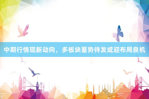 中期行情现新动向，多板块蓄势待发或迎布局良机