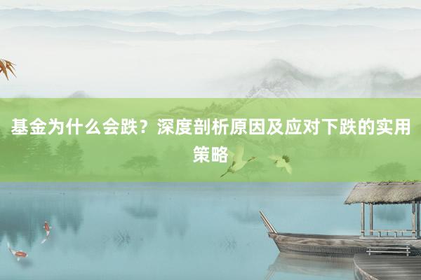 基金为什么会跌？深度剖析原因及应对下跌的实用策略
