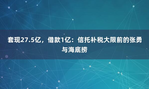 套现27.5亿，借款1亿：信托补税大限前的张勇与海底捞