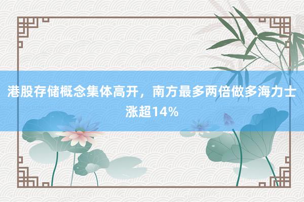 港股存储概念集体高开，南方最多两倍做多海力士涨超14%