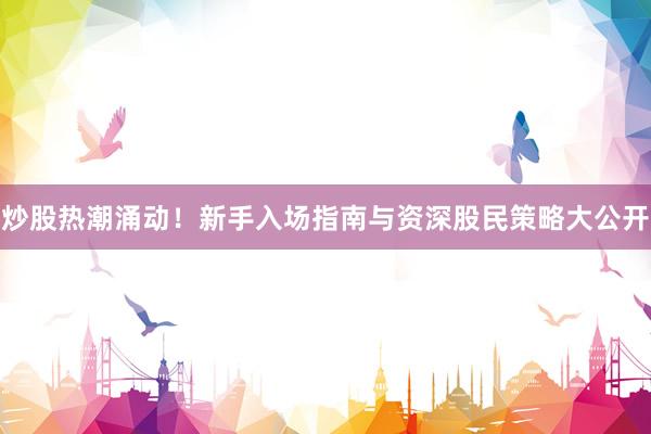 炒股热潮涌动！新手入场指南与资深股民策略大公开